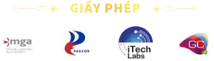 Giấy phép nk88